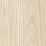 Field Elm