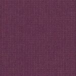 Grape